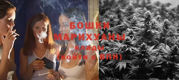 соль ск Богданович