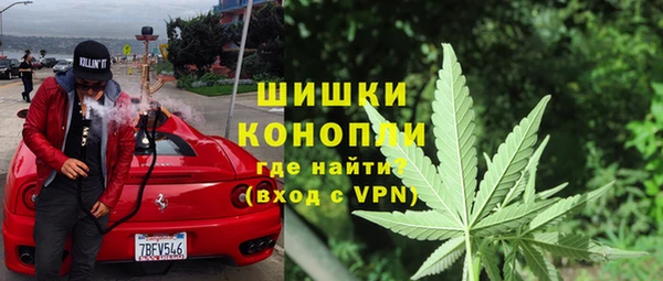 соль ск Богданович