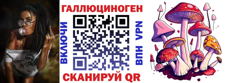 Галлюциногенные грибы мицелий  купить наркотики сайты  Шилка 