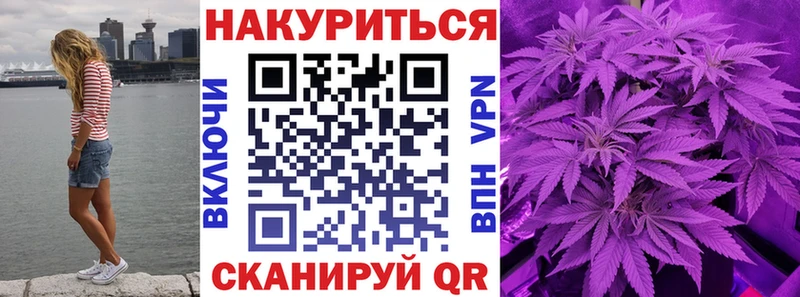 Бошки Шишки MAZAR  mega ссылка  Шилка  купить наркоту 